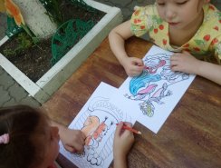 img (4)